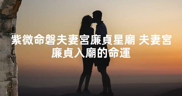 紫微命磐夫妻宮廉貞星廟 夫妻宮廉貞入廟的命運